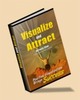 Thumbnail Visualize and Attract Thumbnail Visualize and Attract