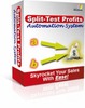 Thumbnail Split Test Profits Automation System PLR