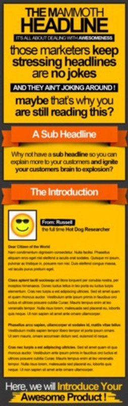 Product picture WSO Template The Orange