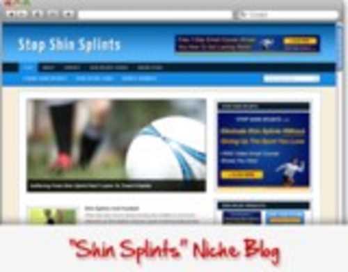 Product picture shin splints niche blog