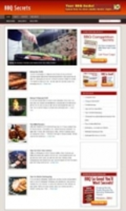 Product picture BBQ Secrets Niche Blog 