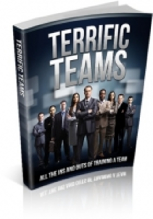 Product picture Terrific Teams 