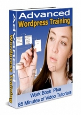 Product picture Advanced Wordpress Training - PLR