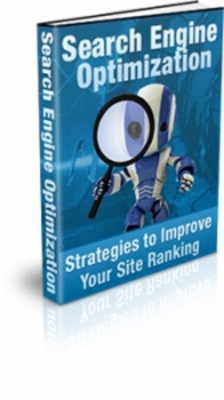 Product picture Search Engine Optimization - PLR