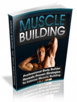 Product picture Muscle Building - PLR